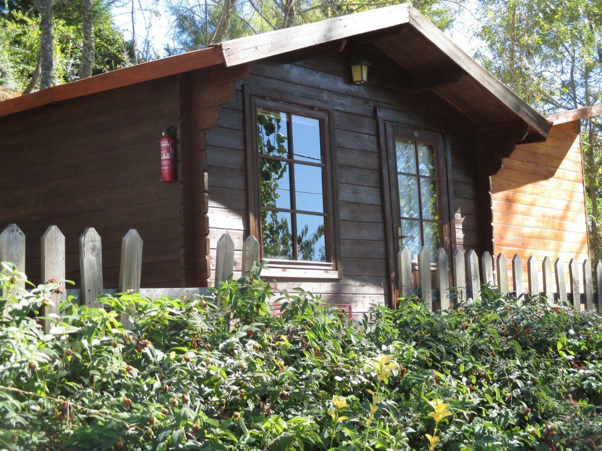 Bungalow "A Choupana" - Quinta Da Carvoica - Vale Pradinhos Vale de Pradinhos Ngoại thất bức ảnh